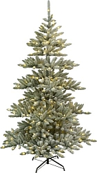 Julgranar