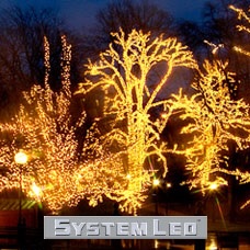 System Led
